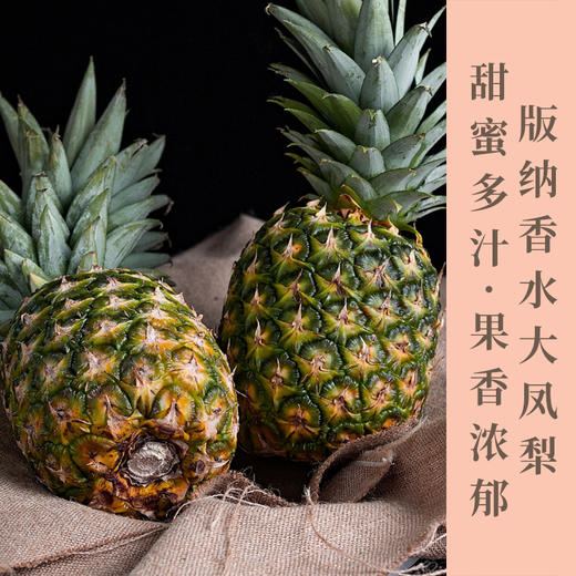 云南版纳香水大凤梨香味浓郁酸甜多汁云南特产水润细腻肉质脆嫩 商品图0