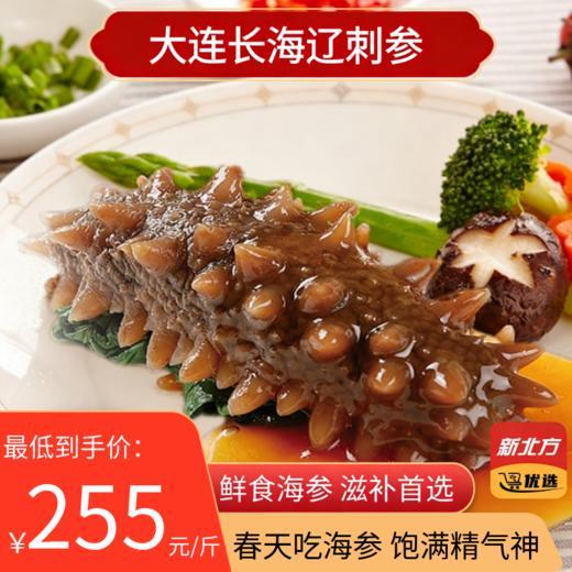 春补鲜食海参 正宗大连辽刺参 单斤8头 商品图0