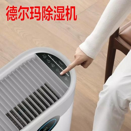 德尔玛 新款除湿机家用抽湿机干燥机地下室去湿抽湿机回南除湿除湿机干衣机衣柜内裤 商品图1