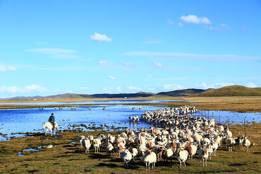 限时早鸟立减800！青海湖360°全新玩法！骑士精神100公里挑战，骑行+骑马+漂流+徒步，从环湖骑行到立体探索青藏高原， 阶梯海拔设计，让孩子用车轮，真正走进青藏高原的山、湖、草原、沙漠和藏寨 商品图11