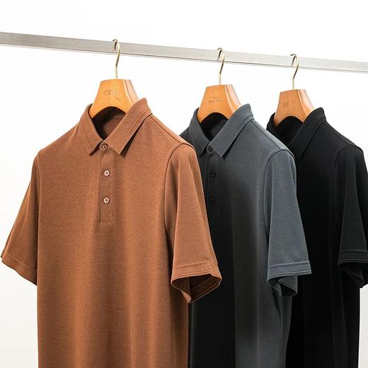 儒雅精致男士春季新款美丽诺羊毛一体绒POLO衫 商品图1