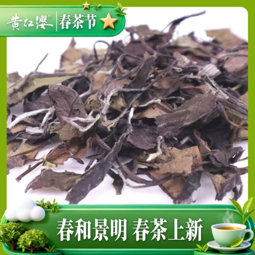 黄红缨进士2022年收藏白茶树朦胧50克 商品图2