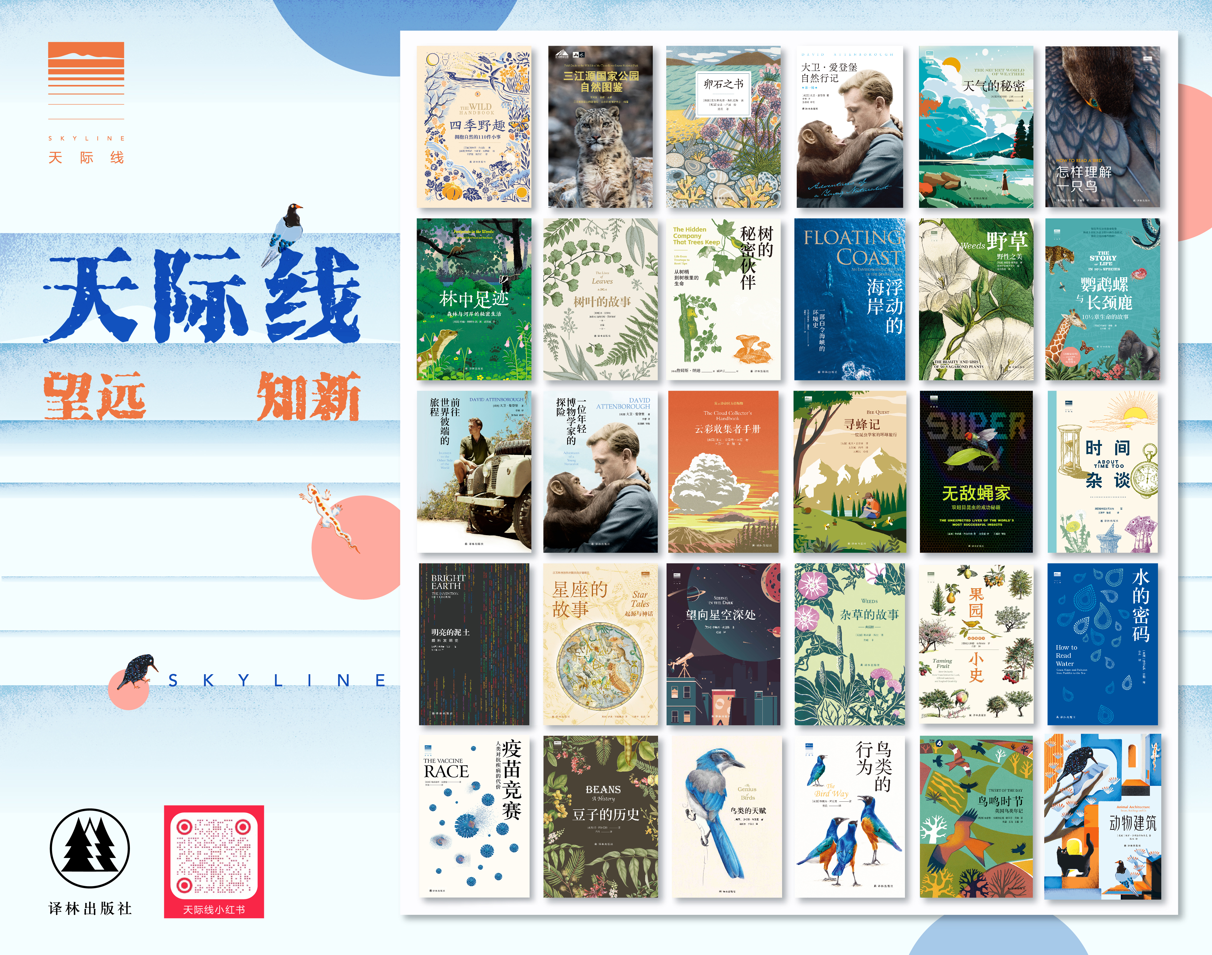 天际线鸟类书单