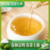 【新品上市】黄红缨1350老白茶400g超量装2020年白茶 商品缩略图4