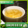 好运连连老白茶300克（花朦胧300克） 商品缩略图2