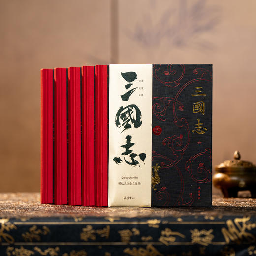 《三国志》（精装典藏版 全6册）全本全注全译，完整收入裴松之注，文白对照+Jing准注译+专家导读，让你读懂一个“真三国” 商品图0
