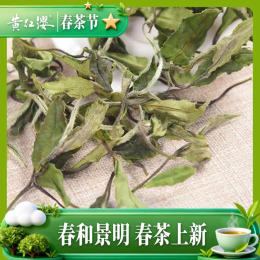 黄红缨探花2022年收藏白茶鸟朦胧35克 商品图4
