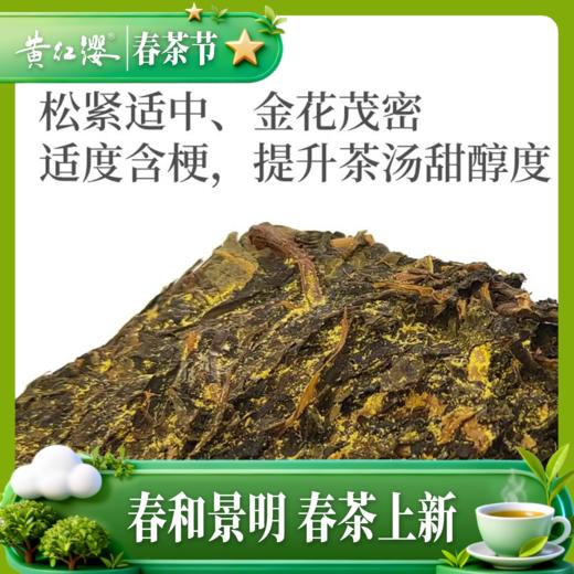 黄红缨金花茯砖（黑茶）500g卡盒装 商品图1