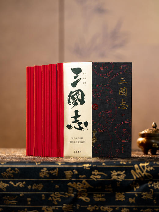 《三国志》（精装典藏版 全6册）全本全注全译，完整收入裴松之注，文白对照+Jing准注译+专家导读，让你读懂一个“真三国” 商品图7