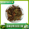 黄红缨老白茶五年陈老寿眉老白茶高山日晒白茶叶白牡丹散装400g 商品缩略图2
