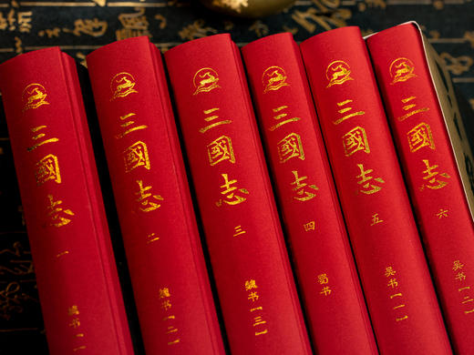 《三国志》（精装典藏版 全6册）全本全注全译，完整收入裴松之注，文白对照+Jing准注译+专家导读，让你读懂一个“真三国” 商品图1