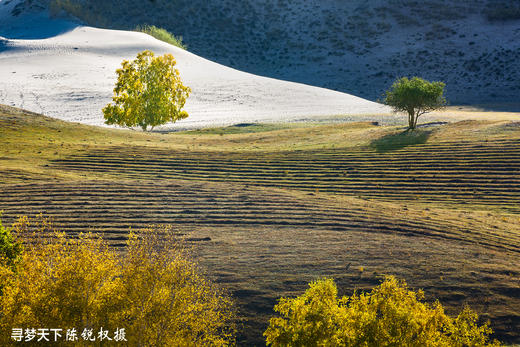 华北·燕山山脉秋色+ 坝上·乌兰布统摄影8天 商品图10