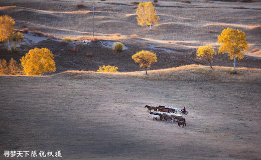 华北·燕山山脉秋色+ 坝上·乌兰布统摄影8天 商品图5