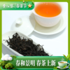 黄红缨口粮茶有机贵州高山红茶袋装250g 商品缩略图2