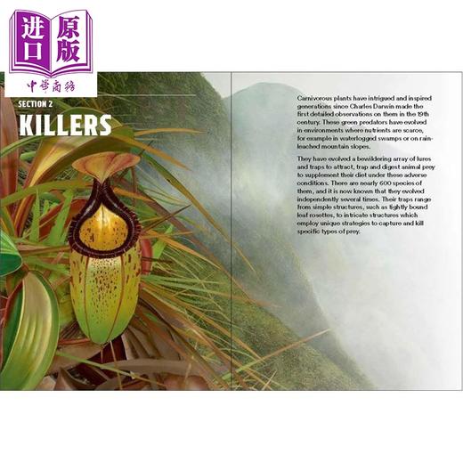 【中商原版】怪异植物 新版 英国皇家植物园 Weird Plants 英文原版 Chris Thorogood 邱园 牛津大学植物园副园长兼科学主管 商品图1
