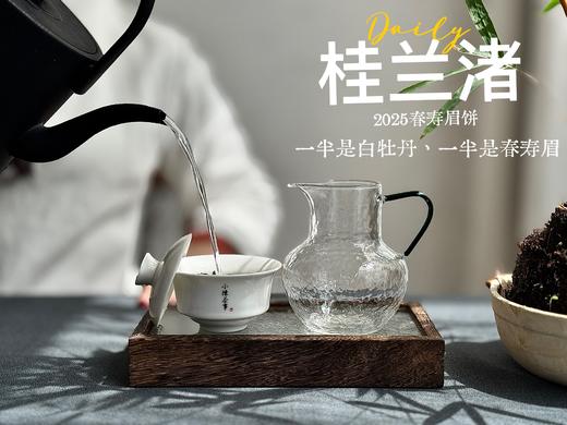 [好茶来了]《桂兰渚》2025春寿眉饼，一半是白牡丹一半是春寿眉的，茶饼，花香更艳，香气更足 商品图5