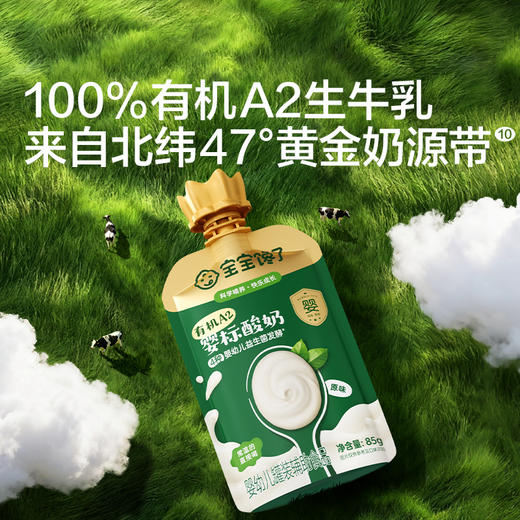 【宝宝馋了】有机A2婴儿酸奶无添加白糖婴标儿童常温酸奶宝宝辅食DB 商品图2