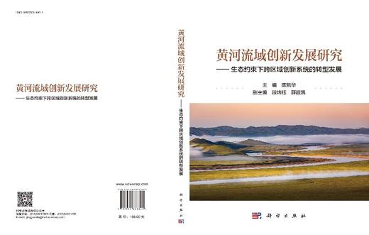 黄河流域创新发展研究——生态约束下跨区域创新系统的转型发展 商品图3