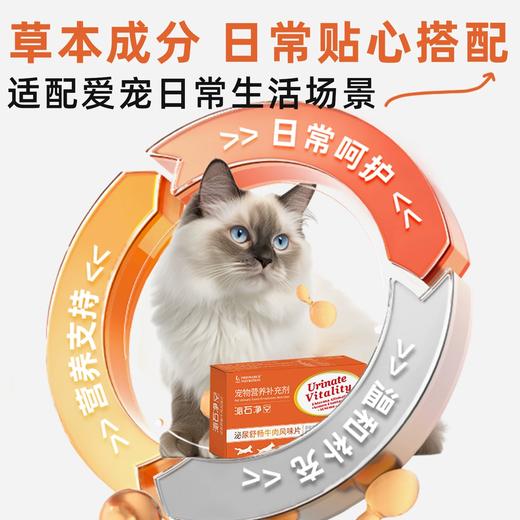 澳滋麦泌石净犬猫膀胱结石尿道呵护狗肾结石排石利尿通尿尿频尿急尿血猫 商品图2