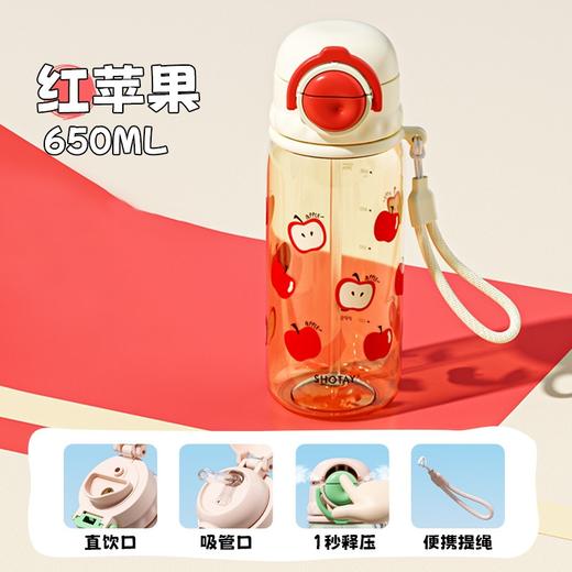 尚泰PPSU双饮水杯650ml夏季水杯ppsu材质 商品图4