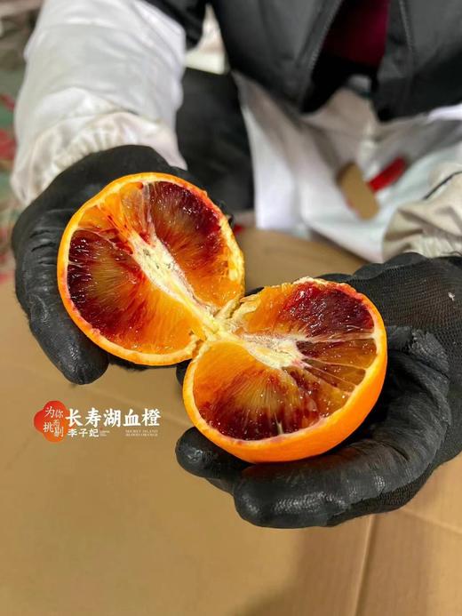【会员21.5/4颗】李子妃重庆垫江长寿湖血橙 商品图3