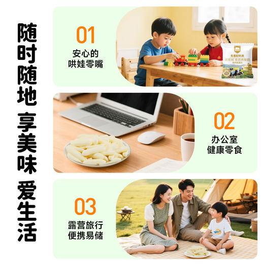 草原烤酸奶【舌里甄选】西域美农欧若姆草原烤酸奶 奶皮子小零食 商品图8