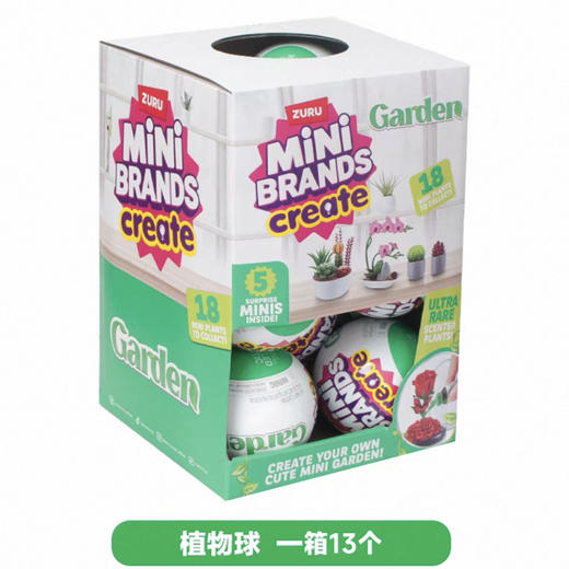 指尖收藏家之迷你花园
ZURU77559 商品图0