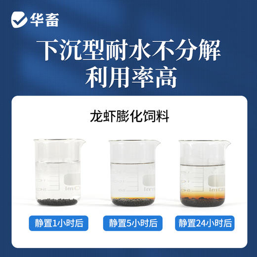 华畜30蛋白小龙虾补钙粮虾养殖膨化颗粒蛋白螯养河蟹螃蟹料专用饲料 商品图1