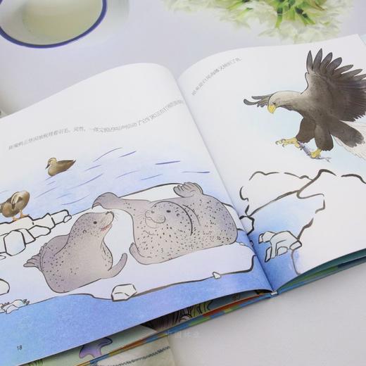 G-你好，斑海豹 &3588 商品图3