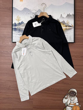 点此购买 可隆春秋季男士商务休闲长袖POLO衫 hh 341869