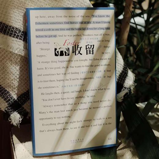 收留  克莱尔·吉根/著 马爱农全新译本 电影夏日细语原著 商品图1