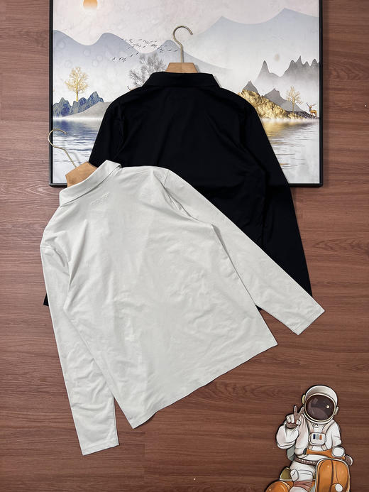 点此购买 可隆春秋季男士商务休闲长袖POLO衫 hh 341869 商品图3