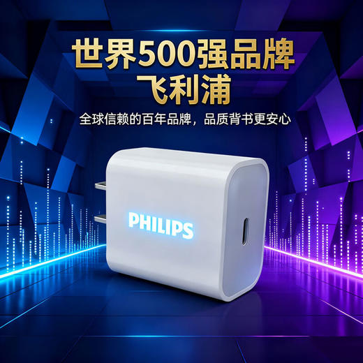 飞利浦PHILIPS氮化镓充电器30W快充头苹果/华为/平板Type-C口快充头插头 DLP3233 商品图0