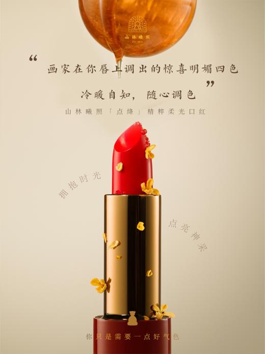 点绛 精粹柔光口红 提色显白滋润唇膏  山林曦照 商品图0