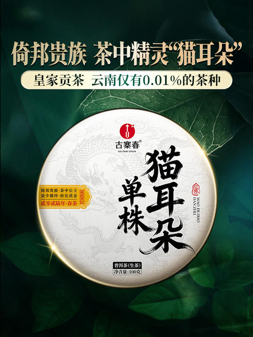 3月12日中午12点【新品预售】【猫耳朵单株】2026年头春头采茶中精灵“猫耳朵”云南仅有0.01％的茶种 100克/饼 5饼/提，每提加送60克同款散茶 商品图8