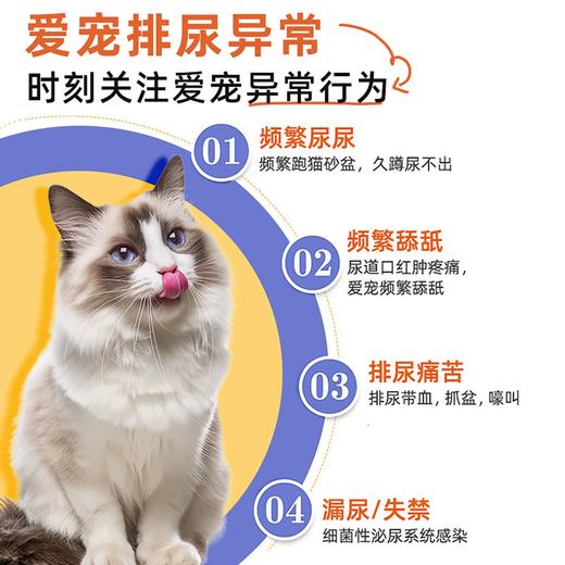 澳滋麦泌石净犬猫膀胱结石尿道呵护狗肾结石排石利尿通尿尿频尿急尿血猫 商品图3