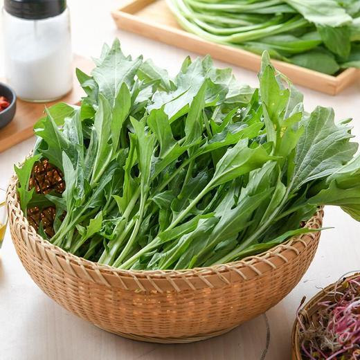 水晶菜200g 商品图0