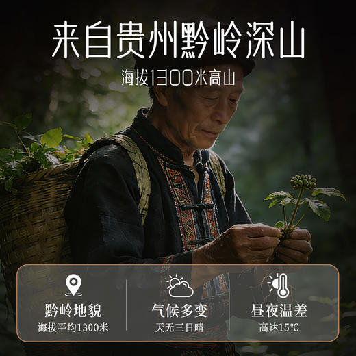 苗鲜老黑膏 商品图3
