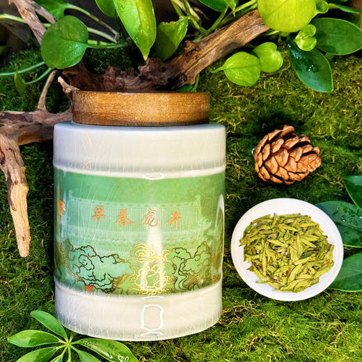 【早春龙井】弘春茗茶新茶上市 商品图2