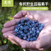 有机野生蔓越莓干168克/袋，有机野生蓝莓果干118g/袋，肉嘟嘟苹果干180g/袋，三款果干，春夏优选！！ 商品缩略图5