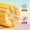 崇明东滩新鲜熟冻白糯玉米—软糯香甜 商品缩略图2