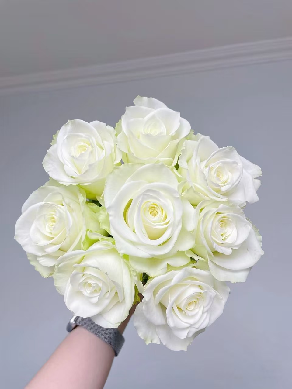 A级江南单头玫瑰3扎