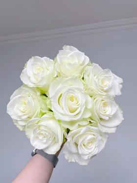 A级江南单头玫瑰3扎