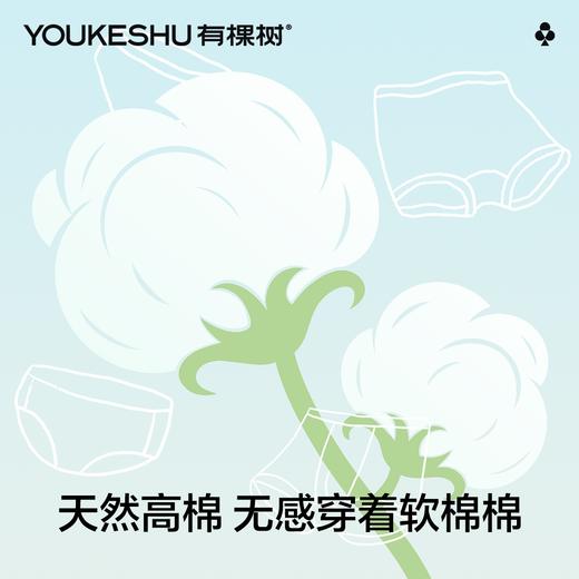 【4条装】【有棵树】【110-160】女童内裤透气儿童平角裤 商品图2
