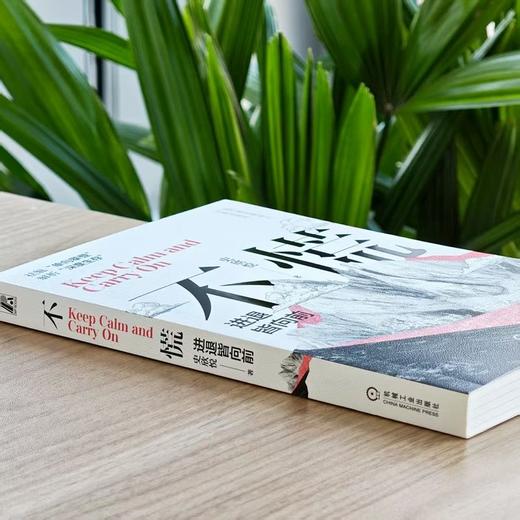 不慌 进退皆向前 史欣悦 缓解焦虑 迷茫 个人成长 情绪 成功励志自我调节自我完善书籍 商品图4