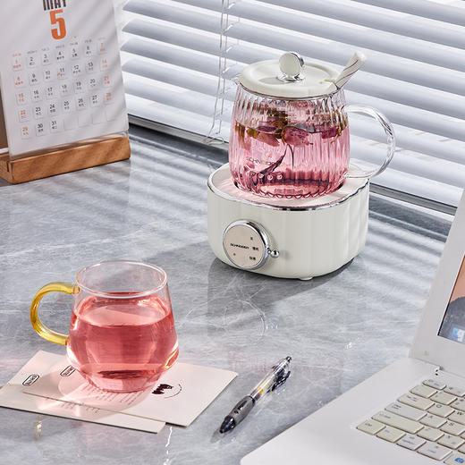 电炖杯 SWK-XDBL01 商品图4