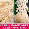 【YC】龙须菜 商品缩略图2