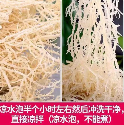 【YC】龙须菜 商品图2