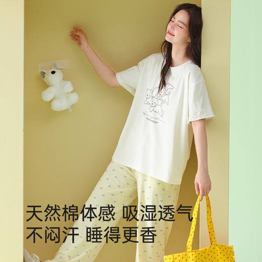 全棉抗菌防螨睡衣（三只小狗） 商品图2