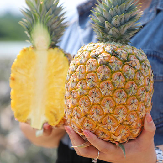 海南芒果凤梨 | 自然熟黄金甜度 爆汁无渣果肉厚实 海南核心产区直供 兼具芒果的细腻香甜与凤梨的清新爽口 商品图1